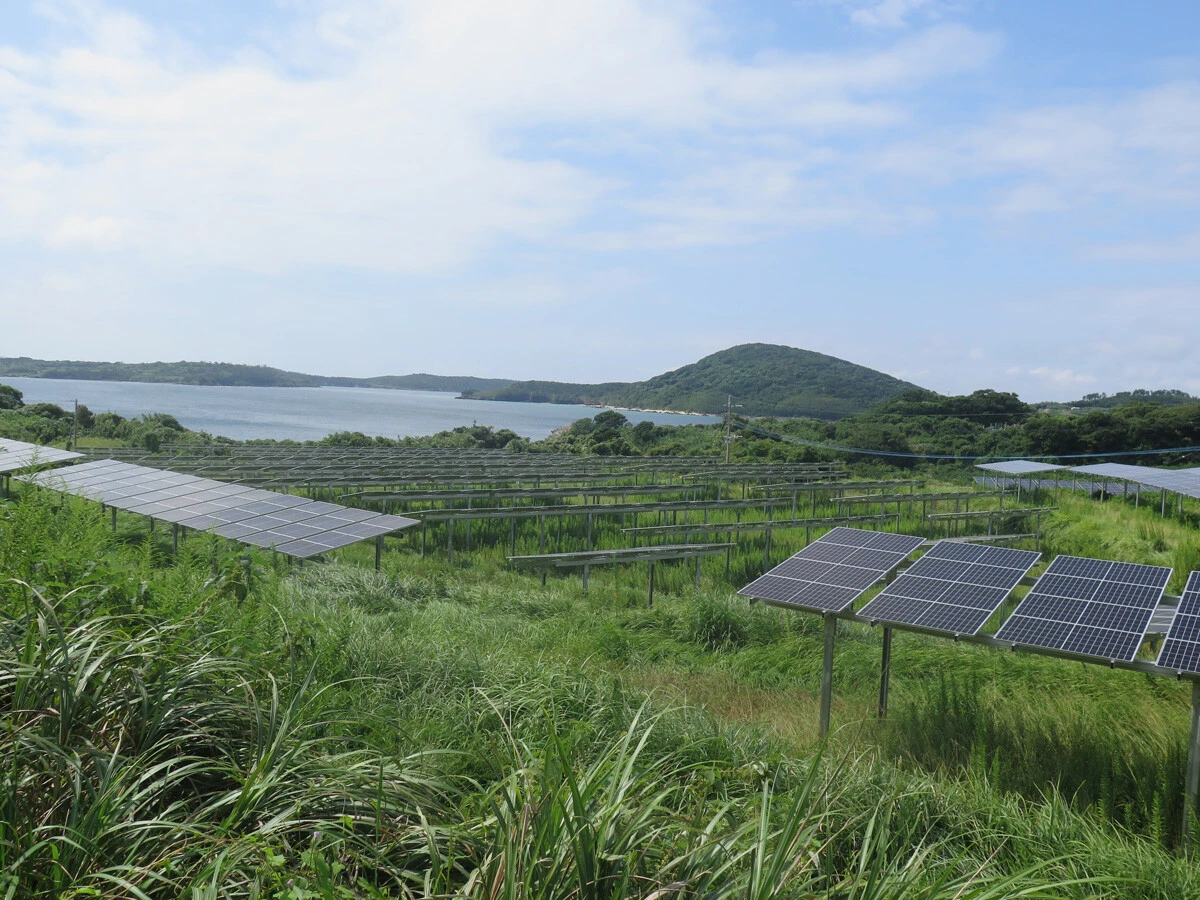 【現地ルポ】「日本最大の発電島」長崎県・宇久島カネと仕事、「メガソーラーから離れられない」切実な島民事情(後編)