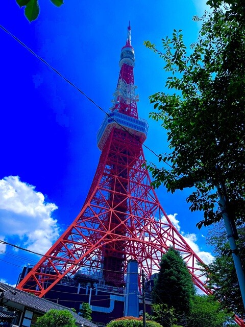 ワルチング・マチルダ~メルボルン、ゴールドコースト、シドニー(1)【「新型コロナウイルス学者」の平凡な日常】