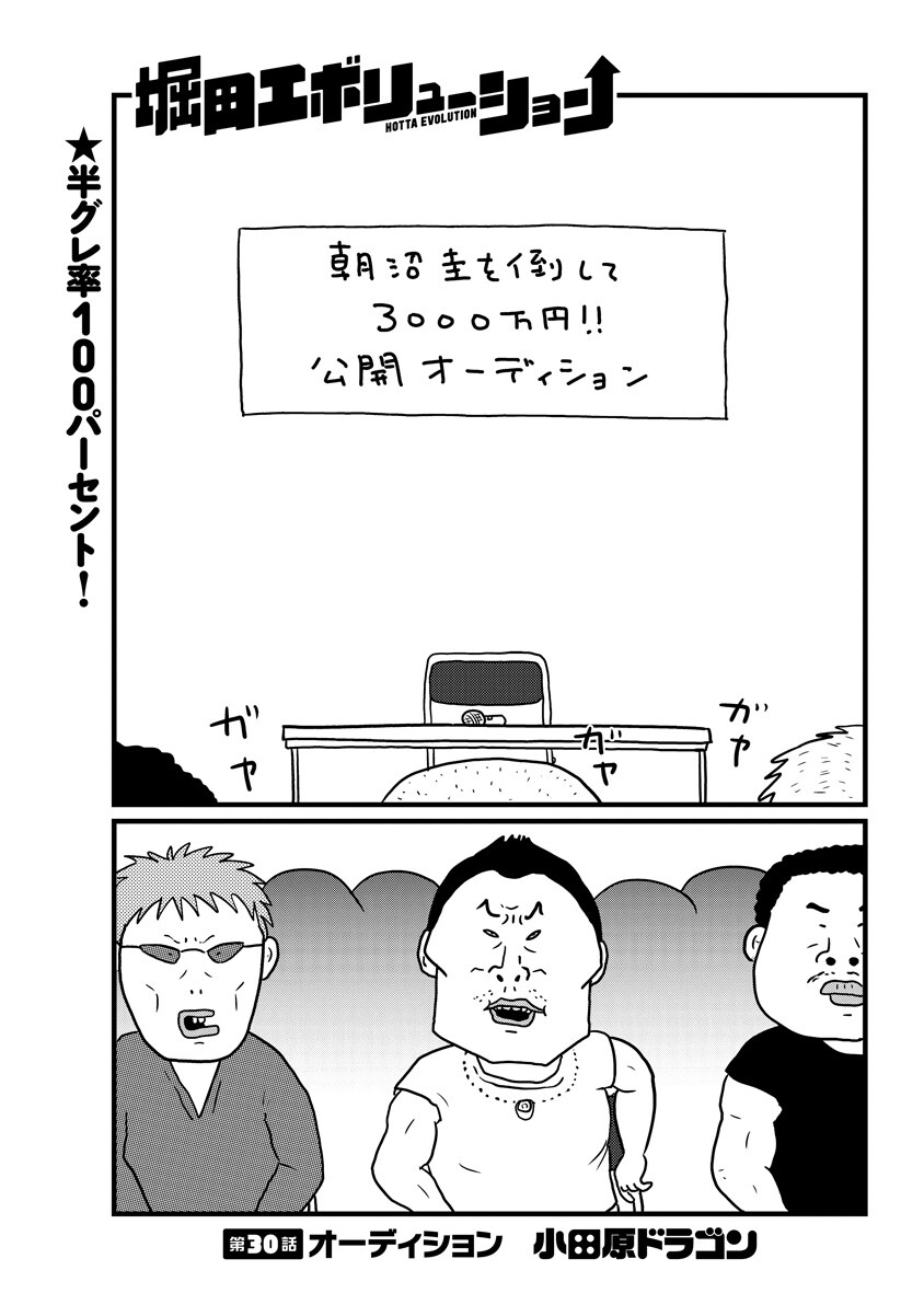 第30話 オーディション