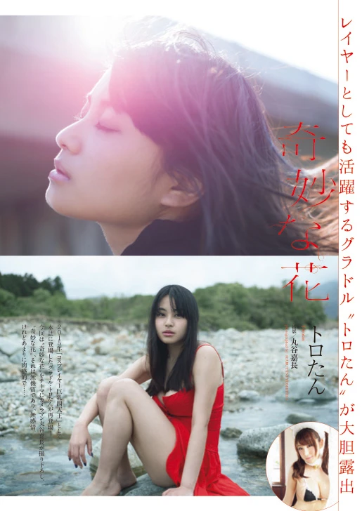 トロたん『奇妙な花』