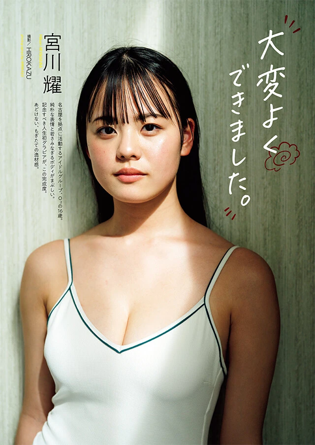 宮川 耀『大変よくできました。』