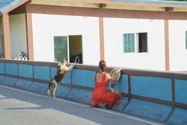 『井口裕香カレンダーブック 2025.4~2026.3』