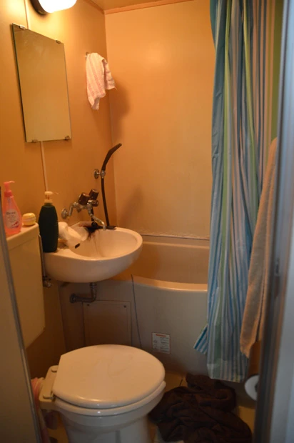 これでもきれいになったバスルーム。抜けた髪の毛はためてある（笑）