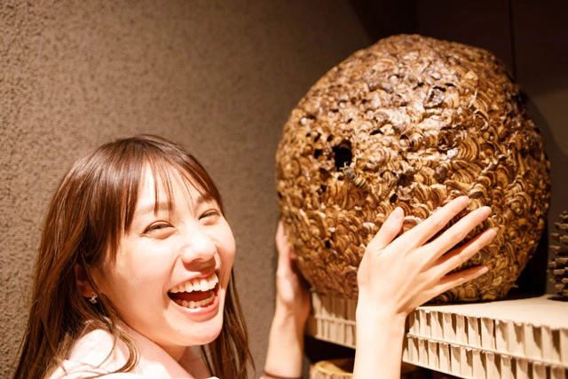 【週プレ　プラス！】昆虫マニア・荒川真衣が語る昆虫食「蜂の子をしゃぶしゃぶは絶品！　花の香りがしてクリーミーです！」【偏愛ガールズクエスト】