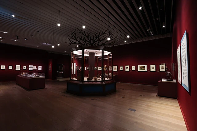 上戸さんが気になっていたと語るドードーの複合骨格が展示されているスペース