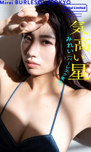 みれい（バーレスク東京）『気高い星』撮影／唐木貴央　価格／１１００円（税込） バーレスク東京で注目を集める新人ダンサー・みれいさんの初グラビアを収録したデジタル写真集。美しいだけじゃない気高きスター性をグラビアにて。しなやかなポージングに、きっと踊る姿も見てみたくなるはずです！