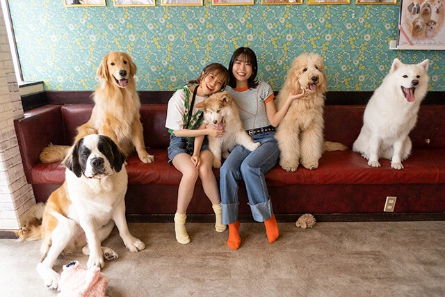 内田秀と村上奈津実