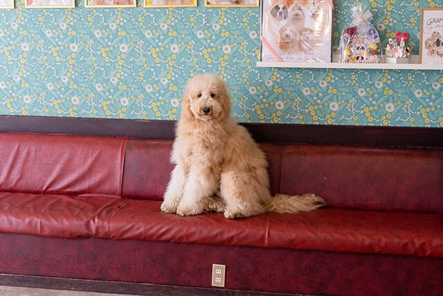 内田秀と村上奈津実