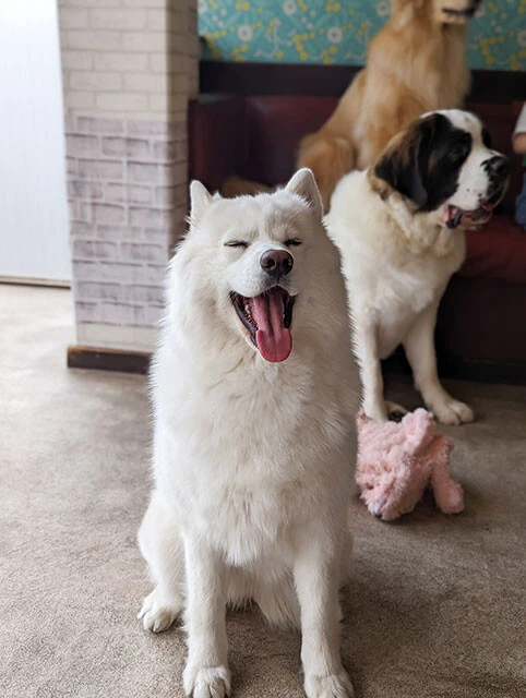 内田秀×村上奈津実