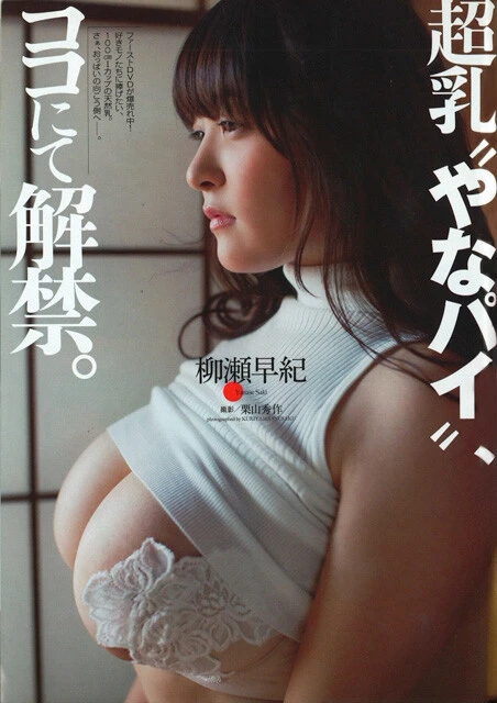 『週刊プレイボーイ』2015年19・20合併号（撮影／栗山秀作）