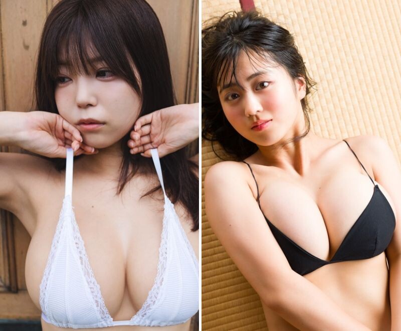 秋なので、名前や作品名に「果」や「実」のつく写真集を集めました