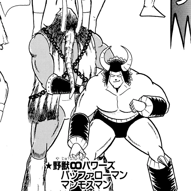 野獣∞パワーズ
