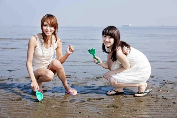 富津海岸の潮干狩り場。潮干狩り可能な期間は9月14日まで。潮の満ち引きによってお休みもあるので、お問い合わせは,富津海岸潮干狩り場(0439-87-2233)まで。