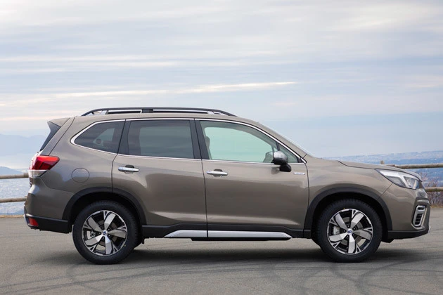 ロープホール付きのルーフレールはオプション設定されている