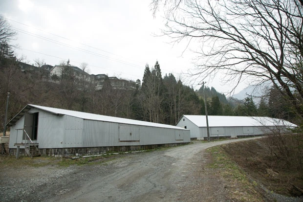 山の中にあるチョウザメの養殖場は、サイズ別に小屋が分かれる