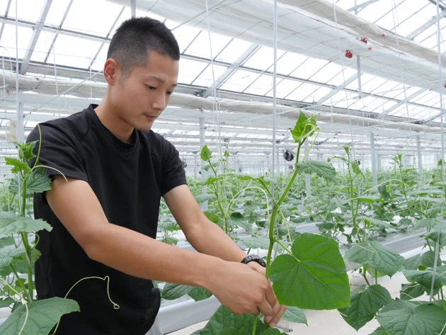 ファームドゥの社員、木暮さん