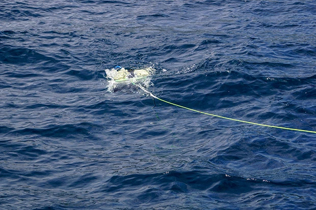 相模湾深海調査 深海1000mへの挑戦風景