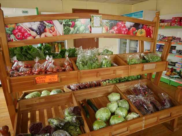 モンナラン農園にある直売所。ウランバートル中心部からわざわざ車を走らせ、野菜を買いに来る人も多いという