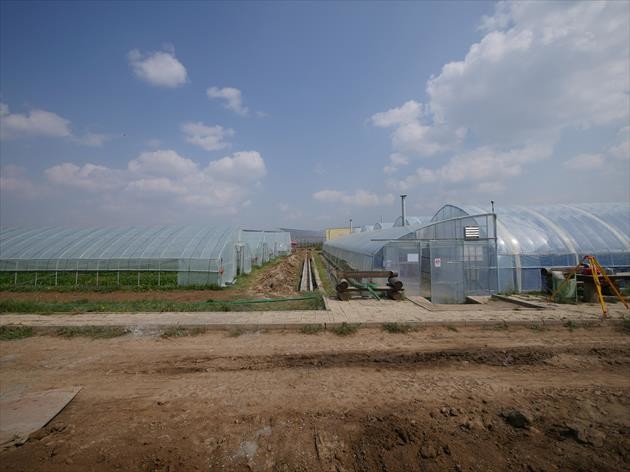 冬のモンゴルは零下４０度にも達するため、モンナラン農園には特殊な暖房設備と屋根にソーラーパネルを備えたビニールハウスがある