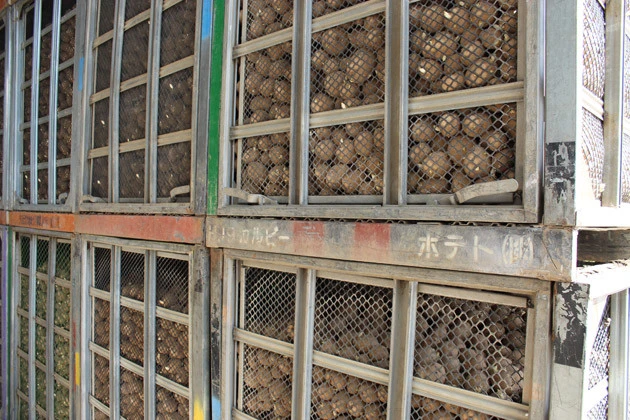 1980年、じゃがいもの物流に特化したグループ会社「カルビーポテト」を設立(本社は北海道帯広市)。安定した商品供給のためなら抜かりない!