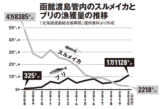 イカのまち 函館では 約１０年で漁獲量が２０分の１に 一方ブリは３０倍 イカゲームの次はブリブームだ 経済 ビジネス ニュース 週プレnews