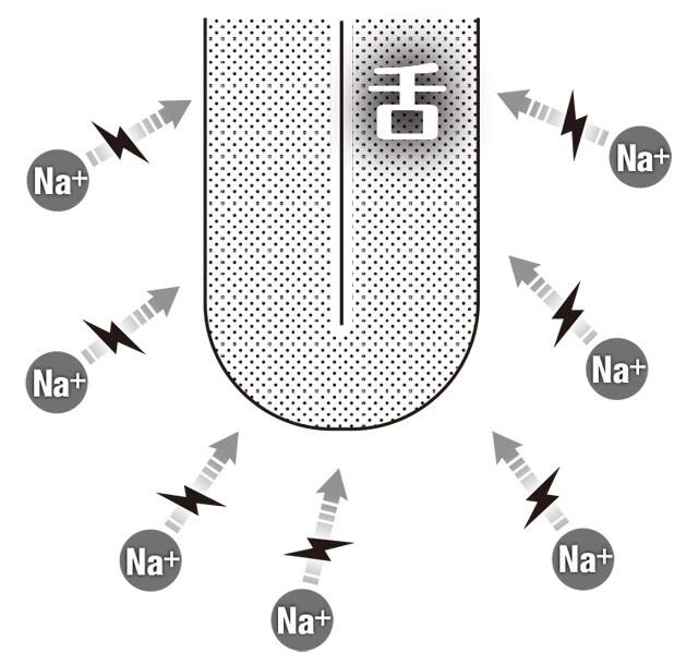 〈エレキソルトの仕組み〉 食品に含まれるナトリウムイオン(Na+)は、塩味のもととなる。独自の波形の電流を流すことで、ナトリウムイオンが舌により集まるようになり、塩味を強く感じられる