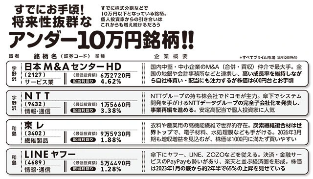 将来性抜群なアンダー10万円銘柄!!