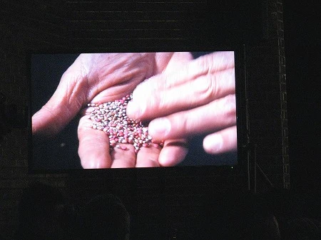 赤かぶの種を発芽させるパフォーマンスは「いきなり、かぶが僕の手に出てくるわけじゃないからね」と言いつつスタート……