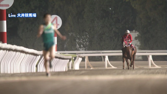 人間８人ｖｓ馬が競馬場で大疾走。人馬対決！マイルチャンピオンシップ