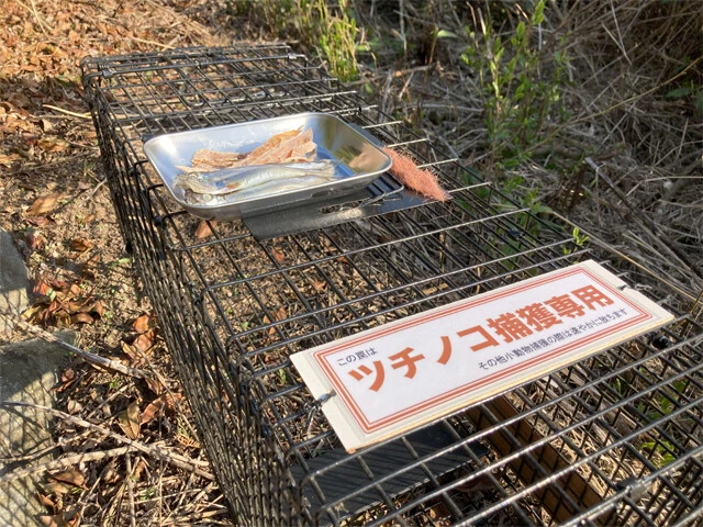 花園氏が持参した狩猟用のわな。設置には狩猟免許が必要だが、ツチノコ捕獲のためだけに取得。ちなみに、今回は野良猫が捕まっていたため、速やかに解放したという