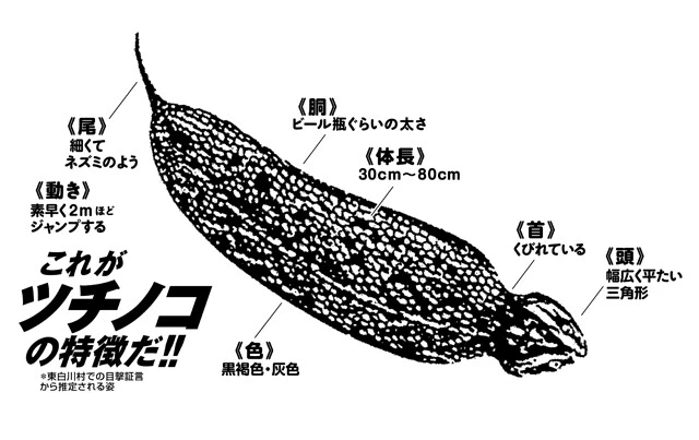 東白川村だけでなく、全国各地で目撃情報が寄せられている。北は秋田・岩手、南は鹿児島まで、そのエリアは非常に広域に及ぶ。好物はスルメや日本酒。また、昔は火葬場の近くでよく目撃されていたことから、人間の髪の毛を燃やしたにおいに寄ってくるなど、さまざまな説が存在している