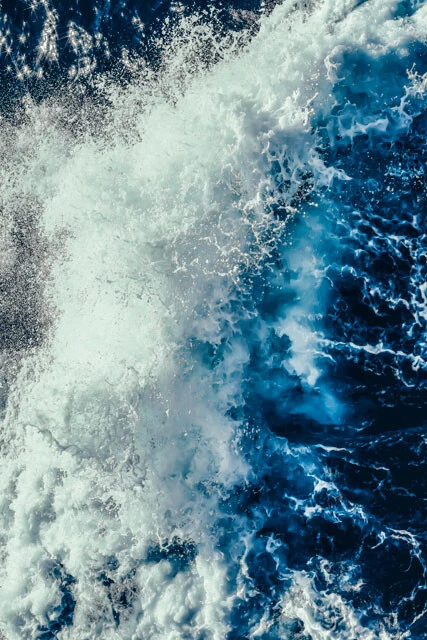 俳優・安藤政信が有名写真家たちとのグループ写真展に出展中。「彼はなぜ、写真を撮り続けるのか？」