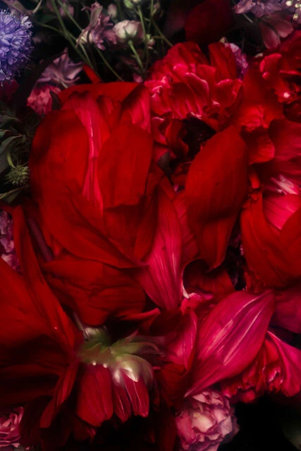 NegativePop［https://negativepop.net/production/yuutsunarakuen/］サイト内で公開中の「憂鬱な楽園」より