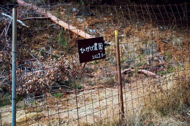 2022年6月に造った「ひがしで農園」。トマトやなめこ、ヒラタケなどを育てていたというが、今は何も植わっていない