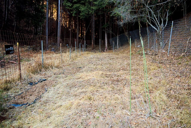 自給自足するために造った畑。野菜を植えると、シカやイノシシが食べようとするので、入らないように柵で囲ってある