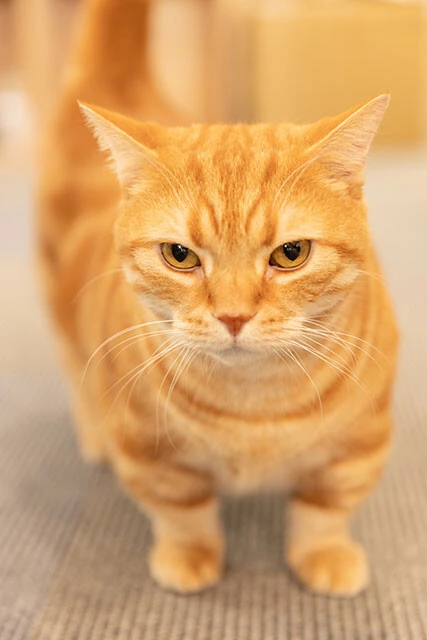 東ブクロ氏の愛に包まれている会長