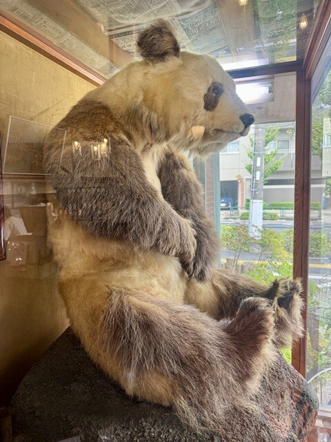 入り口の横には、なぜかパンダの剥製（!?）が……