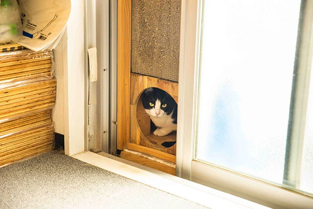 東ブクロ氏を優しい視線で見守る専務