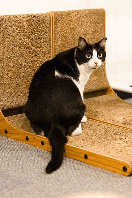 東ブクロ氏の回答に虚を突かれる専務