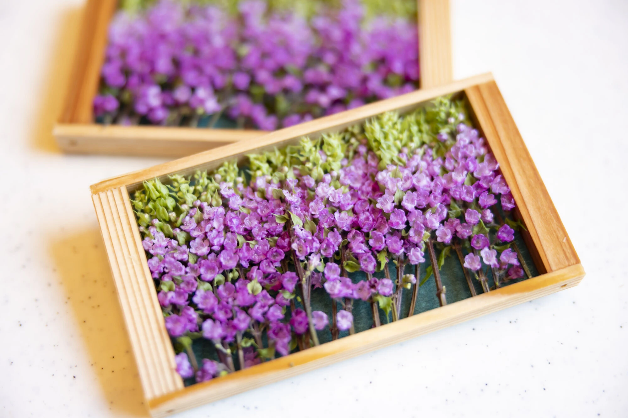 使用したGI産品　５豊橋花穂（愛知県）