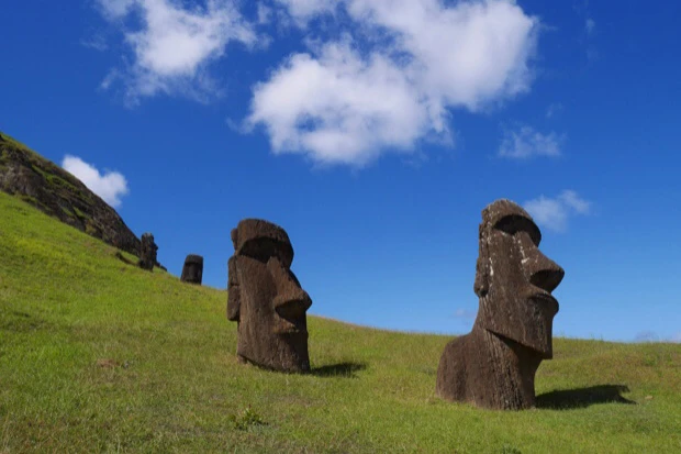 シャープな顔立ちのイケメンモアイグループ