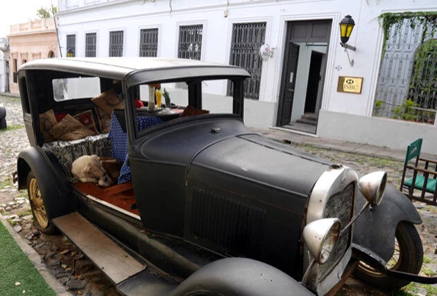 クラシックカーもコロニア観光のひとつ。車体がレストランの席になってたりしておもしろい。犬の先客が