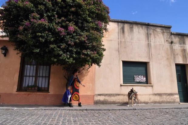 のんびりの町並みにワンちゃんも一人歩き。一匹歩きか