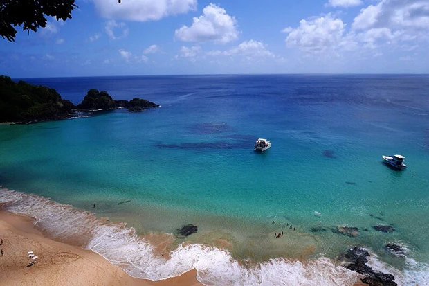 これが世界のベストビーチ! 丘の上からカメが泳いでるのが見えるくらいの透明度!