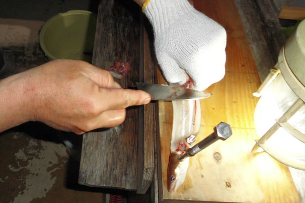 ヌメヌメと滑り、捌きにくいにもかかわらず、あっという間に終了