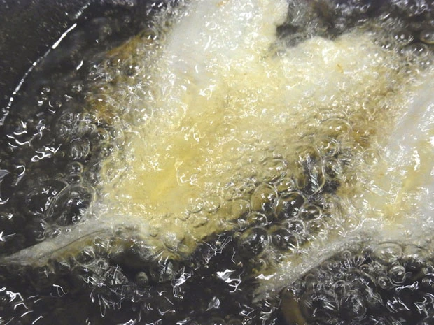 気持ちのいい音を立てて揚がるシロギス