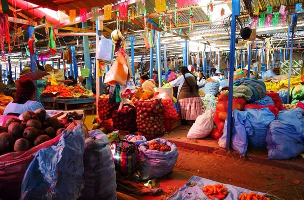 イモだらけの国。見たことのないイモもいっぱい