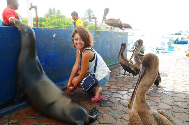 漁師からのおこぼれに列を成す良い子たち。一緒に並んでみました