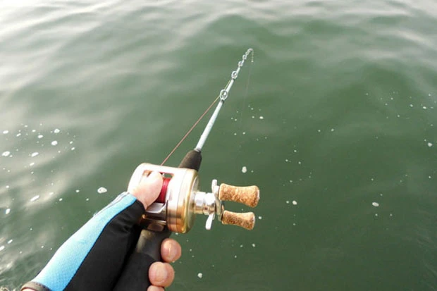 引きの強い魚は胴調子の竿を使用することが多い