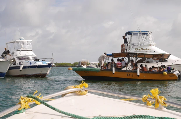 黄色い船はタクシーで、白い船が地獄のスピード船「ゲロ船」